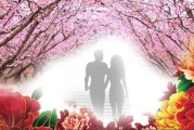 提升桃花运，找到理想伴侣-全方位攻略解析