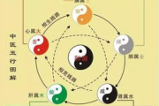 能量瘦身减肥,科学饮食与健康生活方式-全面解析