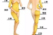 塑塑瘦身包减肥用法详解-科学减肥的正确步骤