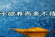 子欲养而亲不待,陈俊的亲情陪伴之道-实现高质量的家庭时光
