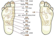 足底瘦身灸价格解析-多少钱一盒及购买指南