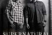 成全视频观看免费高清第6季-全面解析与观看指南