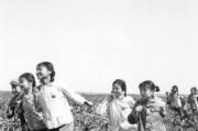100部知青下乡电视剧精选，历史记忆与时代精神的融合-经典剧作盘点