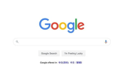 杭州谷歌SEO公司,专业优化策略-提升网站排名解决方案解析