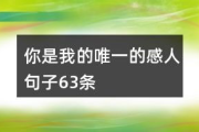 情话最暖心短句,让爱情升温的甜蜜表达