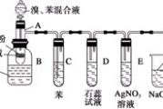 红豆瘦身法,健康减肥新选择-全面解析与实操指南
