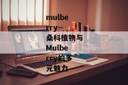 mulberry--桑科植物与Mulberry的多元魅力
