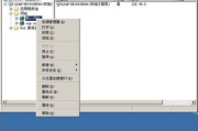ASP服务器软件,高效Web应用开发解决方案解析