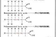 优瘦身298减肥效果解析，能否实现减重10斤的目标？