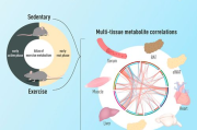 海盐瘦身,自然减肥方法的科学解析与实践指南