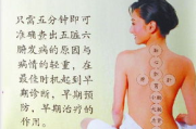 经络瘦身与拔罐的区别及效果解析