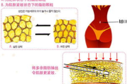 女生大臂瘦身动作,打造纤细手臂-高效运动解析