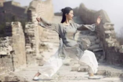 江湖侠女泪，梅开四度-侠骨柔情的故事解析