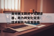 高效英文翻译中文翻译器，助力跨文化交流-技术解析与应用指南