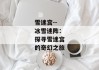 雪迷宫--冰雪迷阵：探寻雪迷宫的奇幻之旅