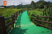 河源今日头条新闻,最新动态-河源新闻资讯汇总