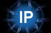 站长工具综合查询IP，优化网站管理与安全-功能详解与使用技巧