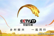 CCTV13央视直播,实时新闻资讯的深度解析-看电视新闻新体验