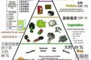学生瘦身方法3天见效-健康饮食与运动结合方案解析