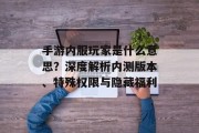 手游内服玩家是什么意思？深度解析内测版本、特殊权限与隐藏福利