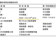 爸爸去哪儿洗衣液质量评测-清洁效果与安全性分析