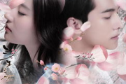 三生三世十里桃花在线全集免费观看-正版平台与观看指南
