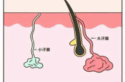 40岁女人私处毛发浓密解决方案-有效去除方法解析