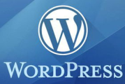 WordPress网站建设,从入门到精通-打造高效在线平台