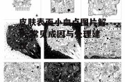 皮肤表面小血点图片解析,常见成因与处理建议