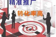 电商引流推广平台，提升转化率的策略解析