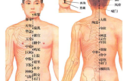 瘦身灸效果分析-中医减肥方法解析