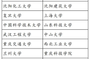 儿子的女朋友与爸爸的朋友相处之道-和谐关系构建指南