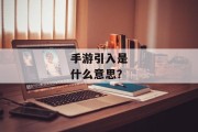 手游引入是什么意思？