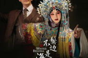 《宫墙凄凄》电视剧，古典情怀免费播放解析