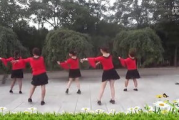 梅之韵广场舞瘦身瘦腰健身操，健康瘦身新选择