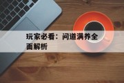玩家必看：问道满养全面解析