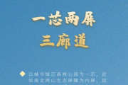 海阔天空,内容创作与SEO优化策略-提升网站可见性解析
