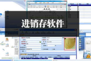 小管家进销存软件,提升企业管理效率-功能与优势解析