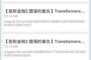 种子搜索神器,高效资源获取-功能与使用技巧解析