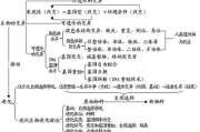 安雅调理瘦身，自然健康减肥新理念-全面解析与实用技巧
