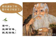 达达兔, 影视娱乐的宝库 - 电视剧与电影网的深度探索