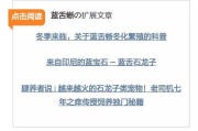 强势宠的含义与表现-情感模式深度解析