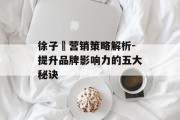 徐子瑄营销策略解析-提升品牌影响力的五大秘诀
