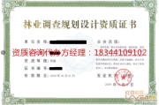 选择优秀网站建设公司,提升企业线上竞争力-专业服务提供商解析