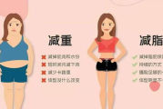 三分钟瘦身减脂视频,高效燃脂的科学方法-全面解析与应用