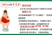瘦身纤维粉效果分析-健康瘦身新选择