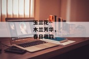 玉兰花--木兰芳华，春日雅韵