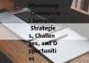 Maximizing Commercial Success: Strategies, Challenges, and Opportunities