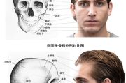《斗破苍穹》无上之境修炼法则与境界解析