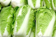 水煮白菜瘦身,健康饮食解决方案解析